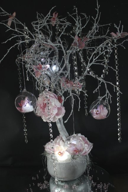 Trees to hire in all sizes - FLOWERS WITH PASSION