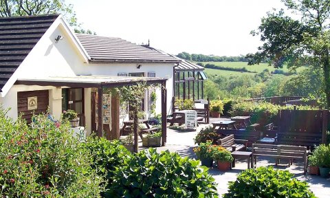 Cwm Deri Vineyard - Cwm Deri Vineyard