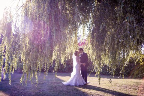 Our weeping willows create stunning photo opportunities - High House Weddings