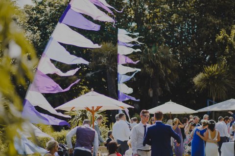 By Alan Law - The Rosevine