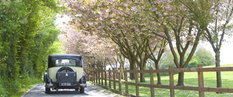 Wedding Accommodation - Bryn Meadows Golf Hotel & Spa-Image 16565