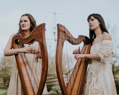 Wedding Music and Entertainment - 2 of Harps-Image 47619