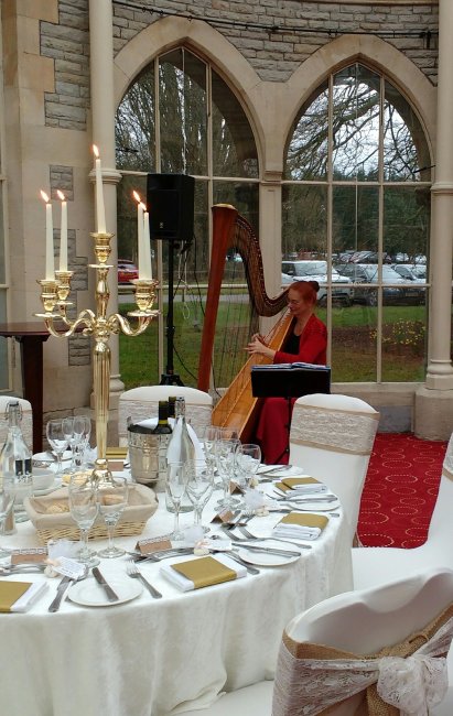 Wedding breakfast at Tortworth Court hotel. - HARPIST Marie-France