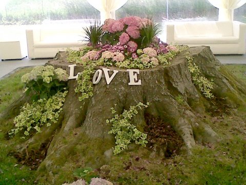 Wedding Accommodation - Overton Grange Hotel-Image 7159