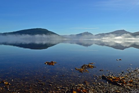 Wedding Caterers - Loch Fyne Oysters-Image 9829