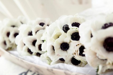 White Anemone Bouquets - Spiral Flowers