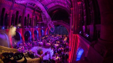 Photographer ©JohnNassari - The Events Mill