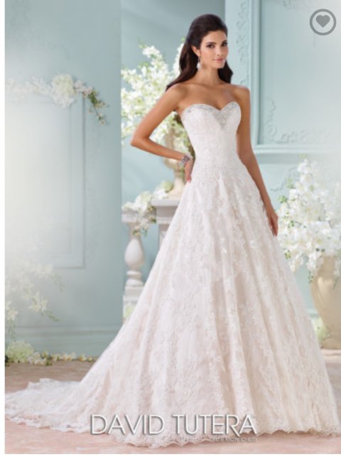Wedding Dresses and Bridal Gowns - Yasemins Gowns-Image 10963