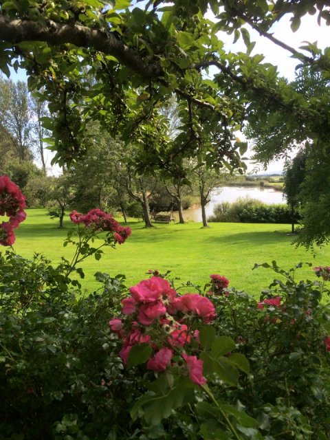 Wedding Discos - MILWARDS HOUSE-Image 31919