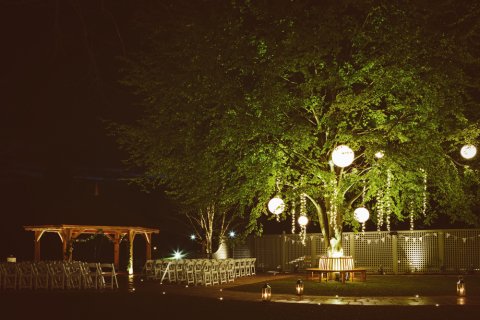 Night Lights - The Venue at Moddershall Oaks