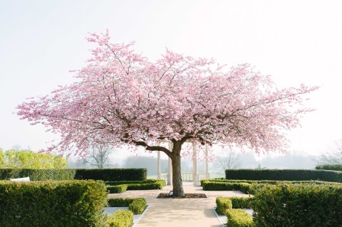 Froyle Park Grounds - Froyle Park