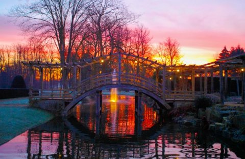 The Japanese Bridge at sunset - Great Fosters