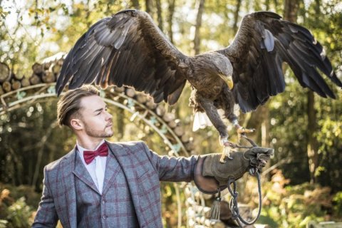 Photoshoop CWW - Bird of Prey - Cheshire Woodland Weddings 