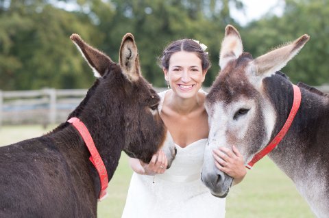 Wedding Ceremony Venues - The Donkey Sanctuary-Image 13563
