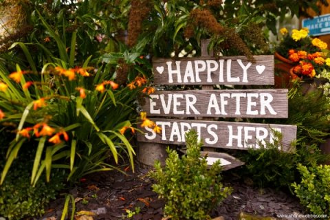 Outdoor Wedding Venues - The Wellbeing Farm-Image 42979