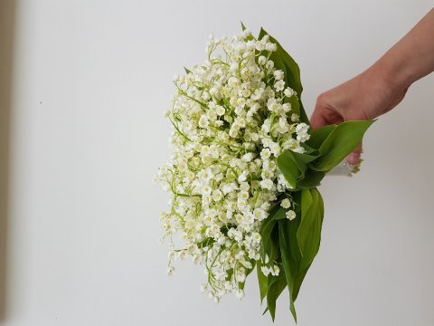 Wedding Flowers - Floribundi-Image 29015