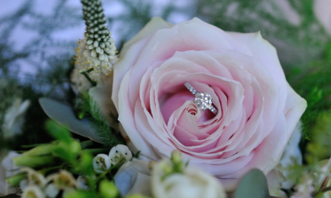 Beautiful Rose - Sonning Flowers 