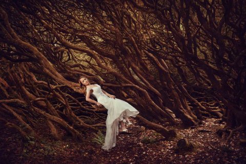 Wedding Photo Albums - Imagine That Studio-Image 17824