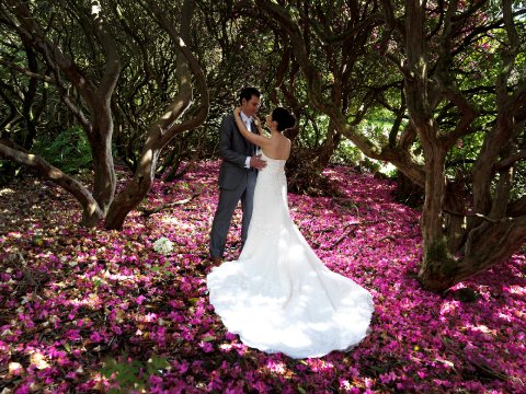 Wedding Reception Venues - Galgorm Resort & Spa-Image 19730