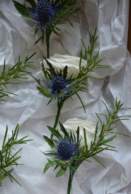Thistle buttonholes - Bottom Of The Garden Flowers