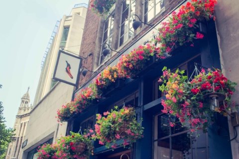 Wedding Reception Venues - The White Swan-Image 40149