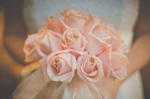 Sam & Bob by Michelle Lindsell - The Rosendale