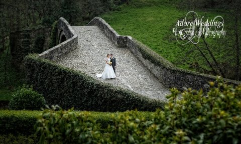 Wedding Photographers - Adore Weddings Photography & Videography-Image 17413
