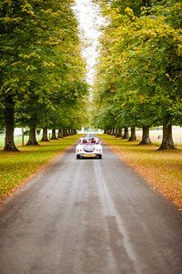 Angela Ward - Avington Park