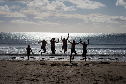 By Douglas Fry - The Rosevine