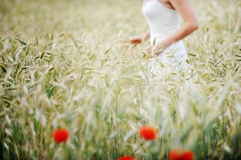 Wedding Photographers - RDphotodesign-Image 4398