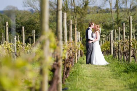 Wedding Ceremony Venues - Glyndwr Vineyard-Image 17855