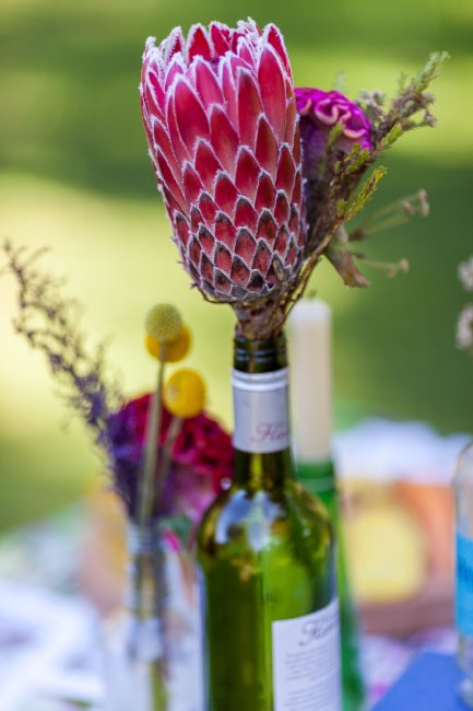 Wedding Catering and Venue Equipment Hire - Ventnor Botanic Garden-Image 14044