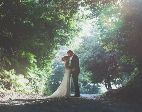 Wedding Cakes - Trevenna -Image 36671