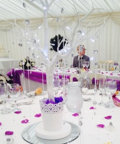 Venue Styling and Decoration - Wedding & Events by Jan-Image 13016