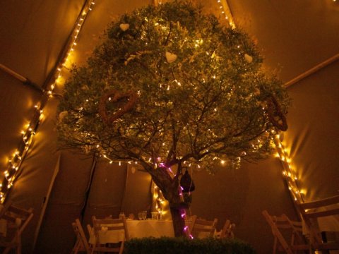 Wedding Marquee Hire - Tipis4hire-Image 19414