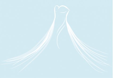 Wedding Dress Preservation - Curvaceous Bridal-Image 40210