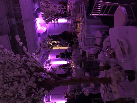 Wedding Catering and Venue Equipment Hire - ABC Catering Equipment-Image 35043