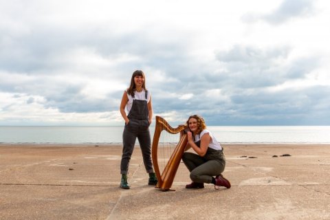 No. 1 Harpists in Kent - 2 of Harps