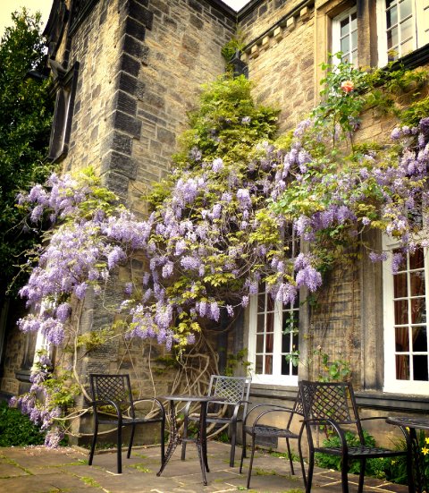 Wedding Ceremony and Reception Venues - Hoyle Court -Image 33292