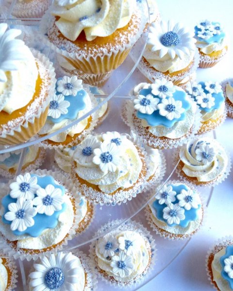 Daisy, Daisy, cupcakes close up. - Karen's Cakes 