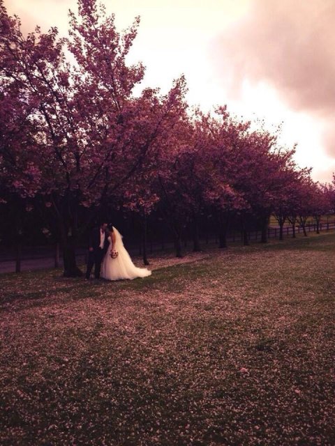 Wedding Accommodation - Bryn Meadows Golf Hotel & Spa-Image 16564