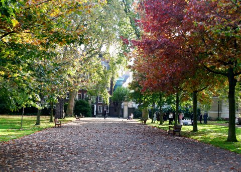 The Walks - The Honourable Society of Gray's Inn