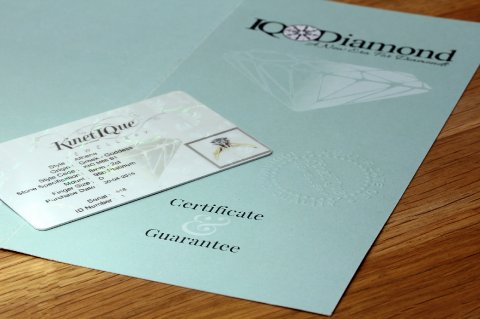 Wedding Rings and Jewellery - KinetIQue Jewellery-Image 22945