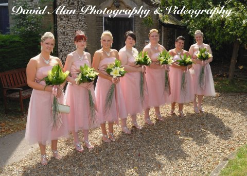 Wedding Photographers - David Alan Photography & Videography-Image 5544