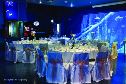 Wedding Ceremony and Reception Venues - The Deep-Image 13705