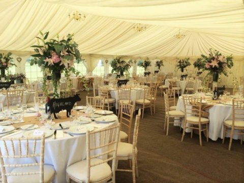 Limewash Chairs with Ivory Seat Pads - Richardson Event Hire