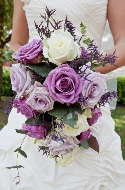 Capture The Day - Alec Packham | Photography-Image 27657