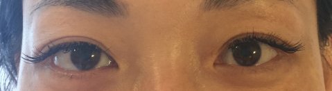 Wedding Makeup Artists - Beauty Essentials -Image 26095