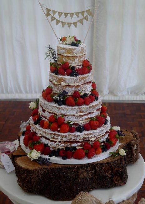 Wedding Favours and Bonbonniere - Centrepiece Cake Designs-Image 3402
