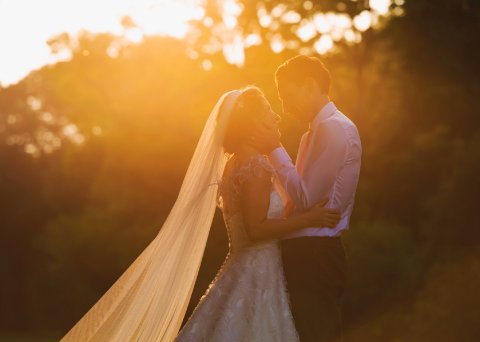 Wedding Photographers - Mona Ali Photography-Image 8203